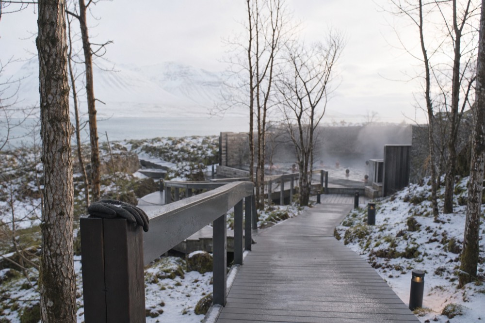 A wooden boardwalk leading to a steaming lagoon between snow-dusted pine trees