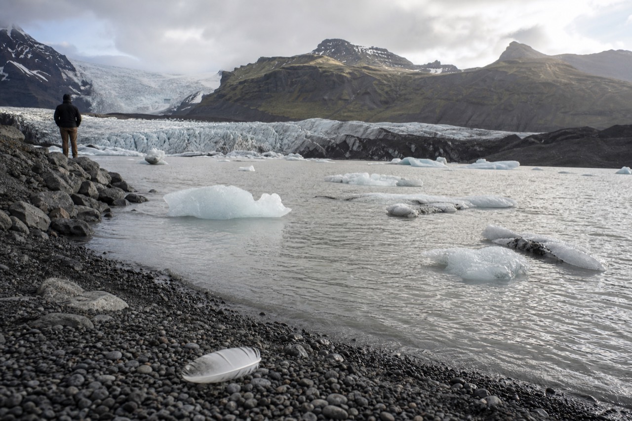 Icebergs floating on a grey glacial lagoon beneath a low glacier tongue