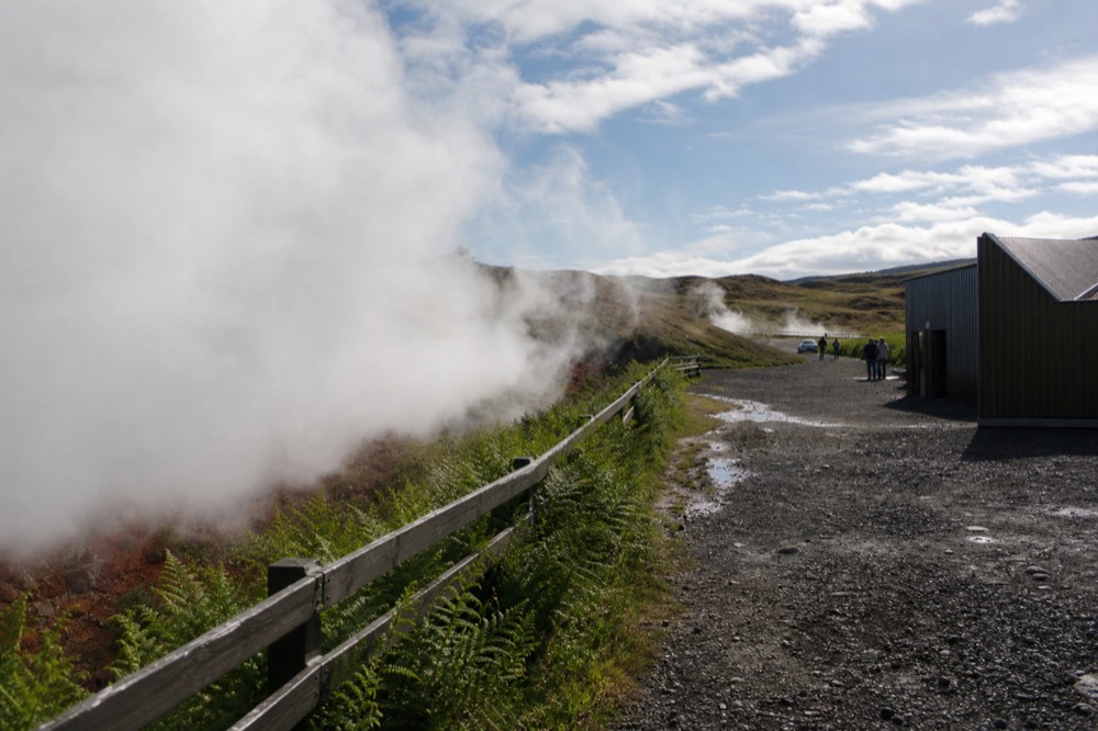 Geothermal steam rising beside a powerful hot spring surrounded by green ferns
