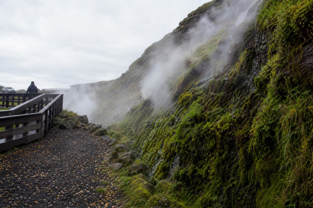 Steam rising from vents in a bright green mossy cliff face beside a viewing platform
